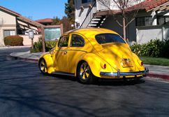 yellow 1962 bug