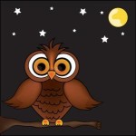 owl picture